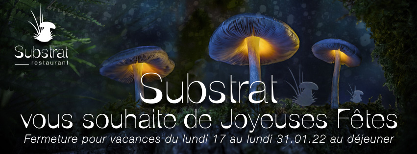 Joyeuses Fêtes